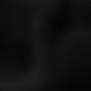 Meet your Posher, Toni